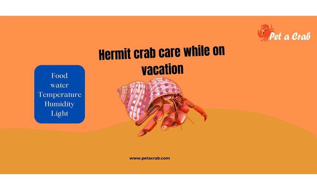 hermit crab care while on vacation
