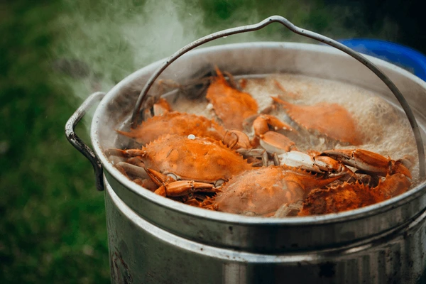 do crabs feel pain when boiled